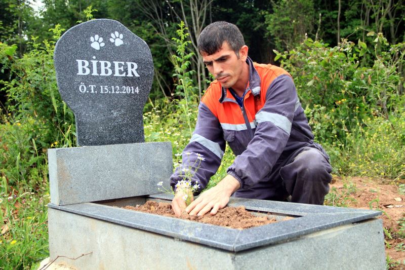 Samsun'da evcil hayvan mezarlığı yapıldı - YENİ ASYA