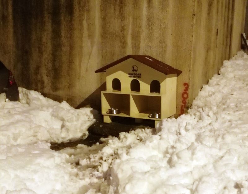 Yıkılan kedi evi yerine özel kedi evleri yerleştirildi YENİ ASYA