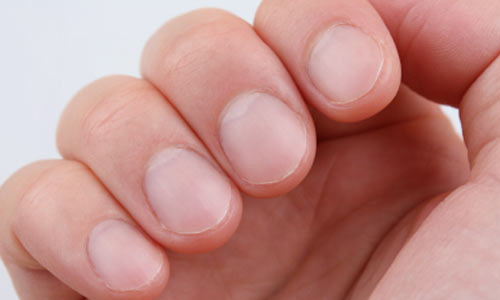 Tırnak kesme adabı YENİ ASYA