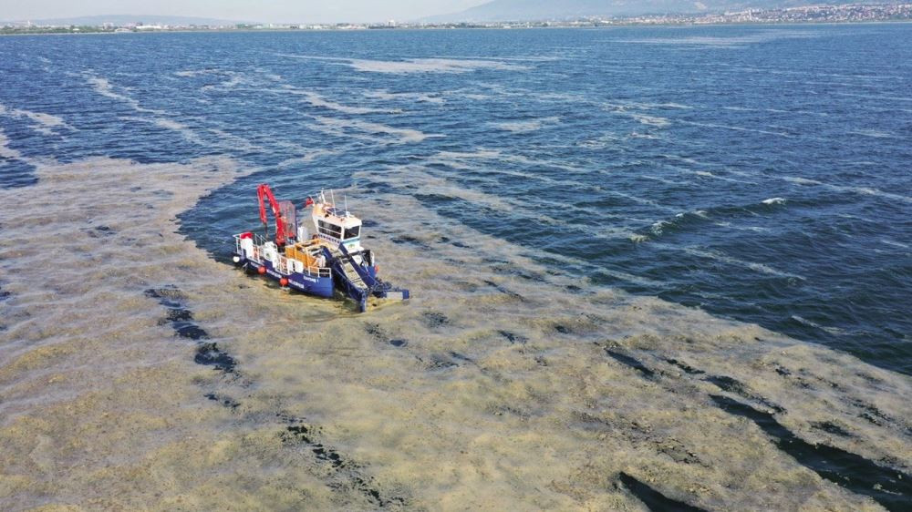 "Müsilaj"dan mesajlar - YENİ ASYA - Vimarsana News